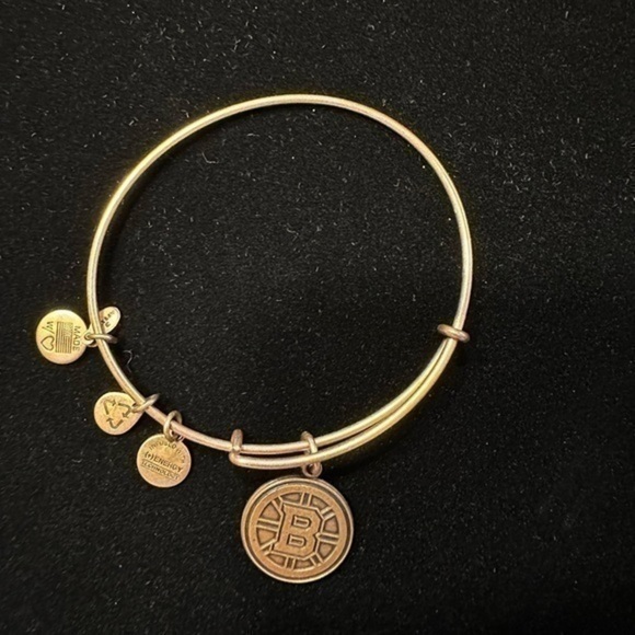 Alex and Ani - Boston Bruins - Wire Bracelet - Picture 1 of 2